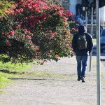 Frio volta ao Paraná e derruba temperaturas em Maringá nos próximos dias; Veja a previsão
