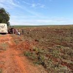 Operação resgata 18 trabalhadores em condições análogas à escravidão em fazenda no noroeste do Paraná