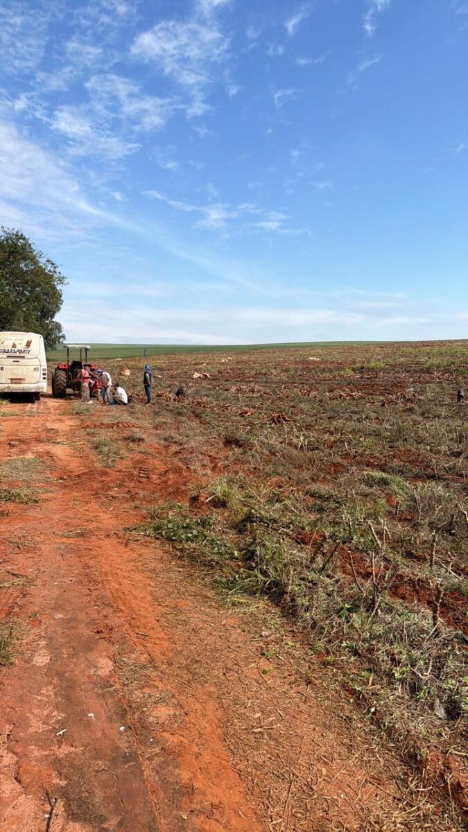 Operação resgata 18 trabalhadores em condições análogas à escravidão em fazenda no noroeste do Paraná